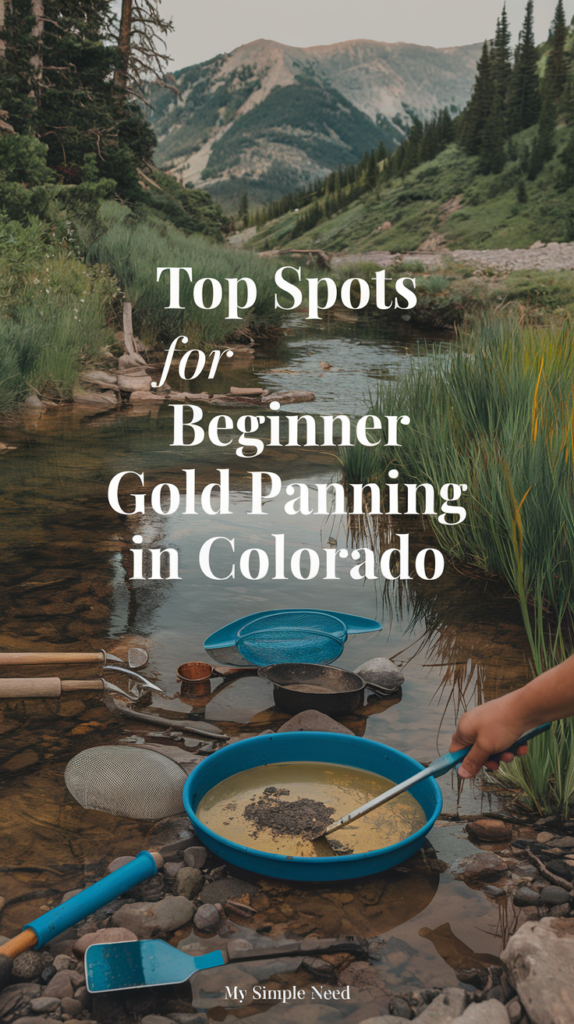 Top Spots for Beginner Gold Panning in Colorado