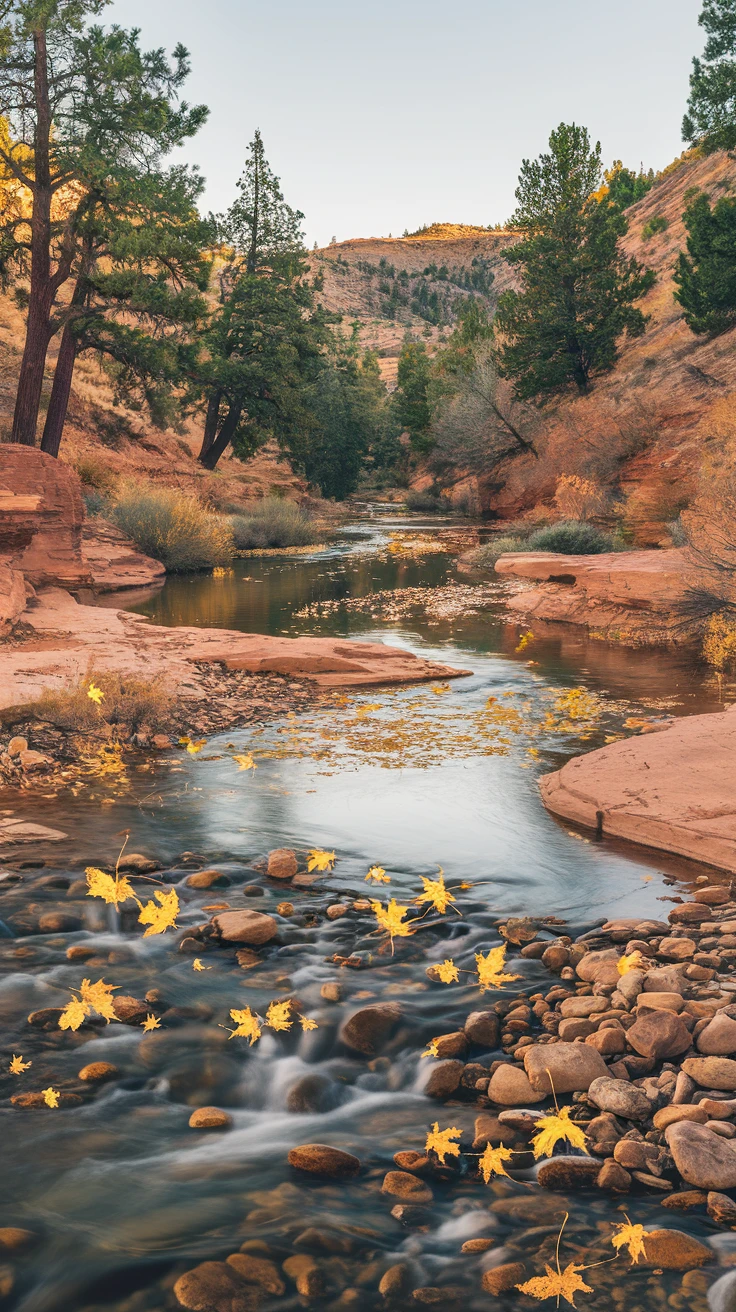9. Yavapai County Creeks